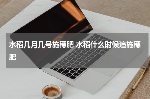 水稻几月几号施穗肥 水稻什么时候追施穗肥