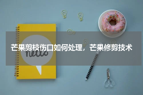 芒果剪枝伤口如何处理，芒果修剪技术
