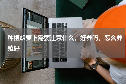 种植胡萝卜需要注意什么，好养吗，怎么养殖好