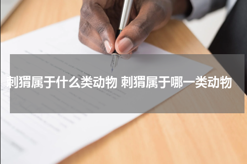 刺猬属于什么类动物 刺猬属于哪一类动物
