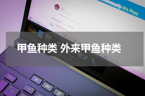 甲鱼种类 外来甲鱼种类