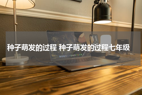 种子萌发的过程 种子萌发的过程七年级