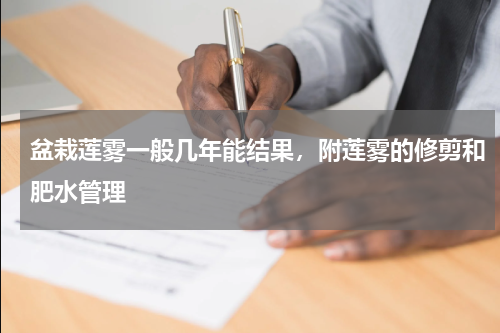 盆栽莲雾一般几年能结果，附莲雾的修剪和肥水管理