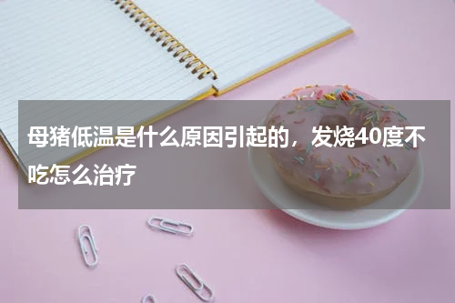 母猪低温是什么原因引起的，发烧40度不吃怎么治疗