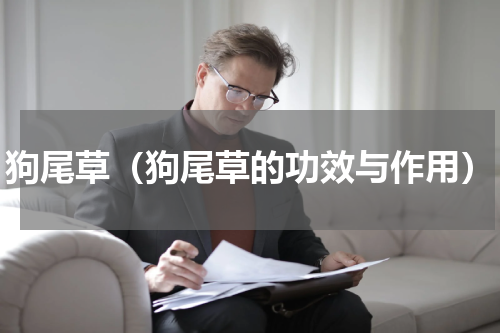 狗尾草（狗尾草的功效与作用）