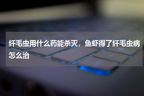 纤毛虫用什么药能杀灭，鱼虾得了纤毛虫病怎么治