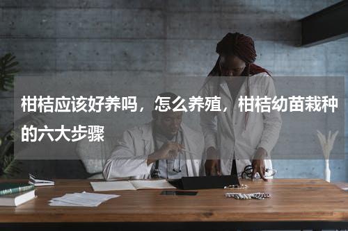 柑桔应该好养吗，怎么养殖，柑桔幼苗栽种的六大步骤