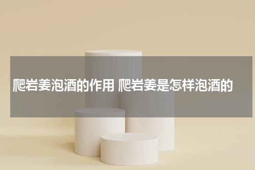 爬岩姜泡酒的作用 爬岩姜是怎样泡酒的
