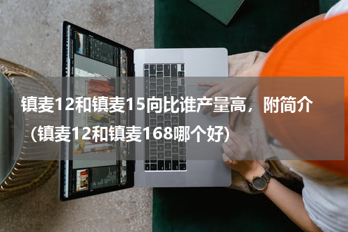 镇麦12和镇麦15向比谁产量高，附简介（镇麦12和镇麦168哪个好）