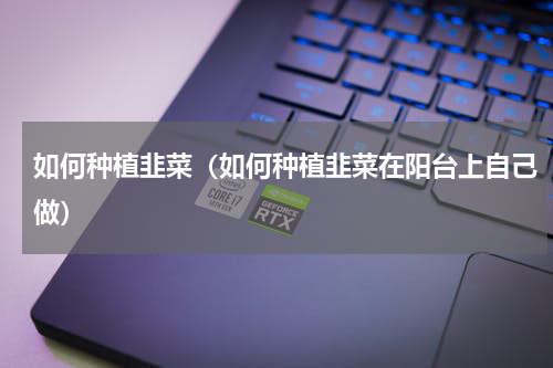 如何种植韭菜（如何种植韭菜在阳台上自己做）