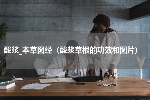 酸浆_本草图经（酸浆草根的功效和图片）