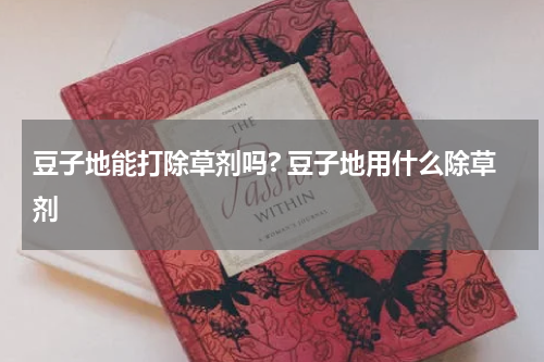 豆子地能打除草剂吗? 豆子地用什么除草剂