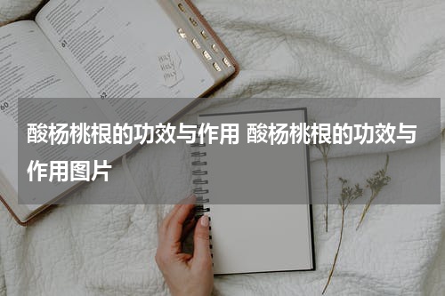 酸杨桃根的功效与作用 酸杨桃根的功效与作用图片