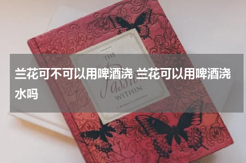 兰花可不可以用啤酒浇 兰花可以用啤酒浇水吗