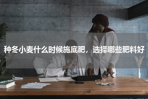 种冬小麦什么时候施底肥，选择哪些肥料好