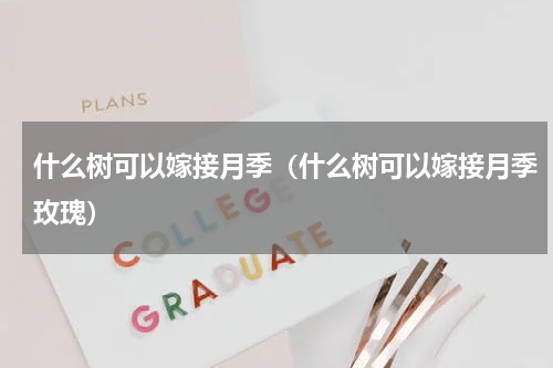什么树可以嫁接月季（什么树可以嫁接月季玫瑰）