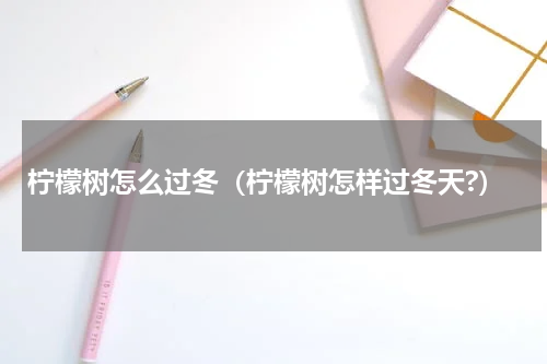 柠檬树怎么过冬（柠檬树怎样过冬天?）