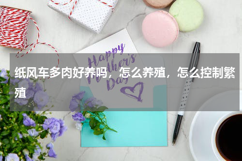 纸风车多肉好养吗，怎么养殖，怎么控制繁殖
