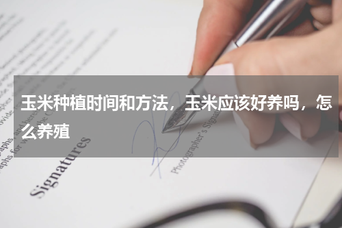 玉米种植时间和方法，玉米应该好养吗，怎么养殖