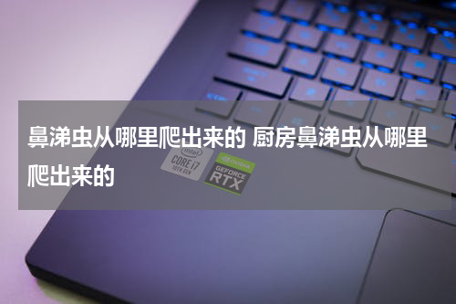 鼻涕虫从哪里爬出来的 厨房鼻涕虫从哪里爬出来的