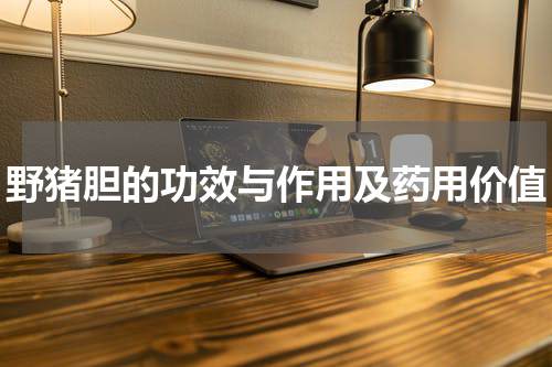 野猪胆的功效与作用及药用价值