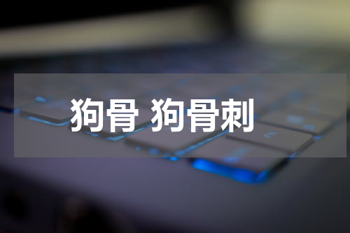 狗骨 狗骨刺