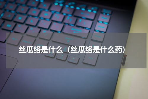 丝瓜络是什么（丝瓜络是什么药）