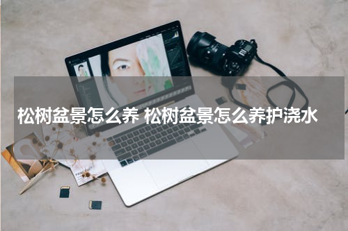 松树盆景怎么养 松树盆景怎么养护浇水