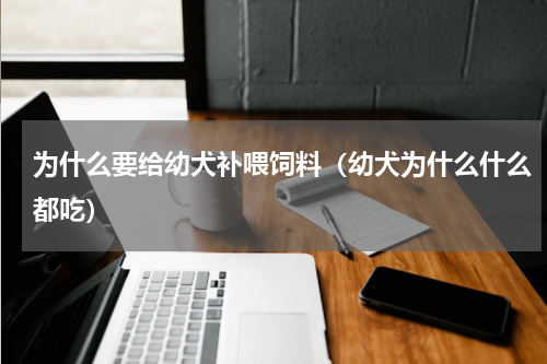为什么要给幼犬补喂饲料（幼犬为什么什么都吃）