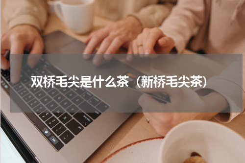 双桥毛尖是什么茶（新桥毛尖茶）