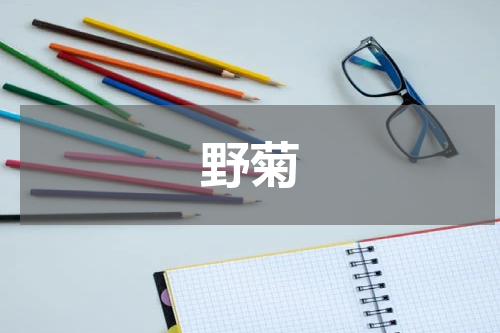 野菊