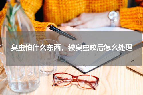 臭虫怕什么东西，被臭虫咬后怎么处理