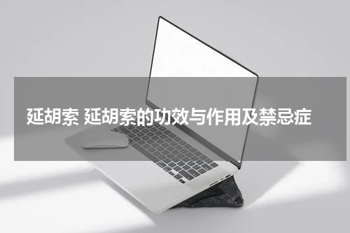 延胡索 延胡索的功效与作用及禁忌症