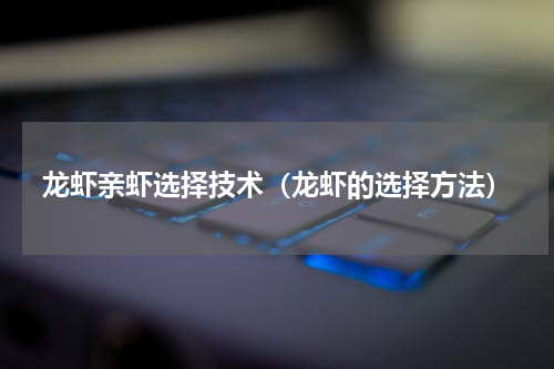 龙虾亲虾选择技术（龙虾的选择方法）