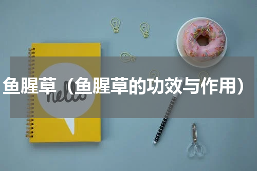 鱼腥草（鱼腥草的功效与作用）