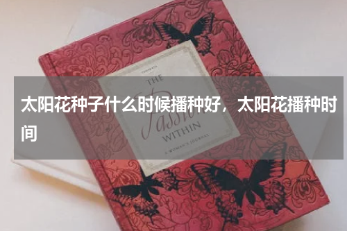 太阳花种子什么时候播种好，太阳花播种时间