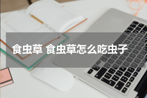 食虫草 食虫草怎么吃虫子
