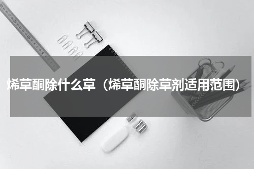 烯草酮除什么草（烯草酮除草剂适用范围）