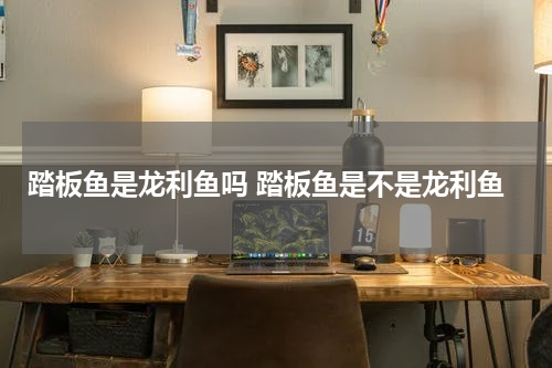踏板鱼是龙利鱼吗 踏板鱼是不是龙利鱼