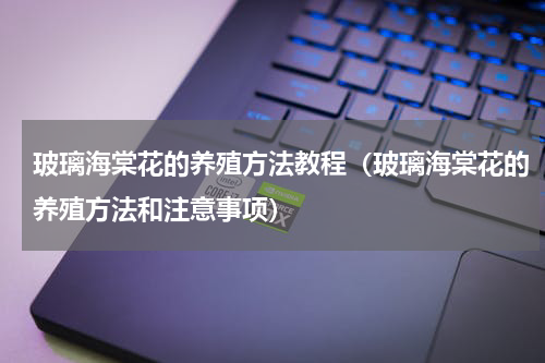 玻璃海棠花的养殖方法教程（玻璃海棠花的养殖方法和注意事项）