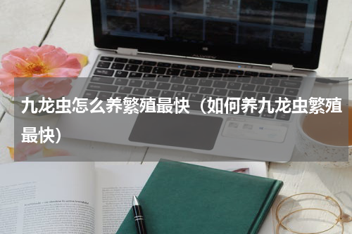 九龙虫怎么养繁殖最快（如何养九龙虫繁殖最快）