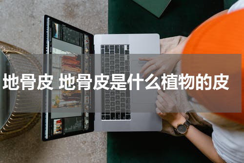地骨皮 地骨皮是什么植物的皮