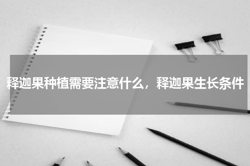 释迦果种植需要注意什么，释迦果生长条件