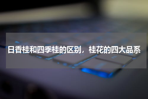 日香桂和四季桂的区别，桂花的四大品系