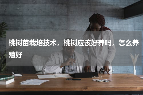 桃树苗栽培技术，桃树应该好养吗，怎么养殖好