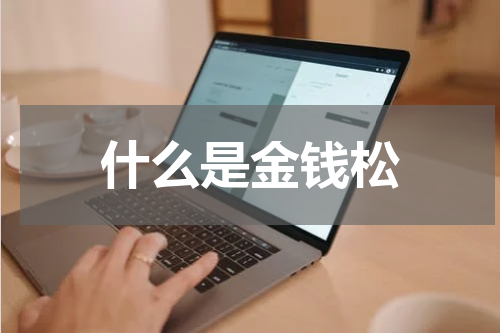 什么是金钱松