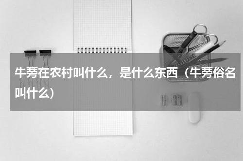 牛蒡在农村叫什么，是什么东西（牛蒡俗名叫什么）