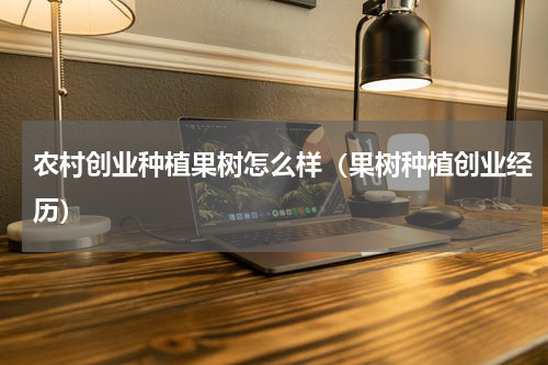 农村创业种植果树怎么样（果树种植创业经历）