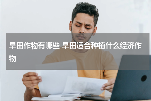 旱田作物有哪些 旱田适合种植什么经济作物
