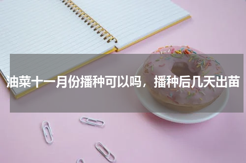 油菜十一月份播种可以吗，播种后几天出苗